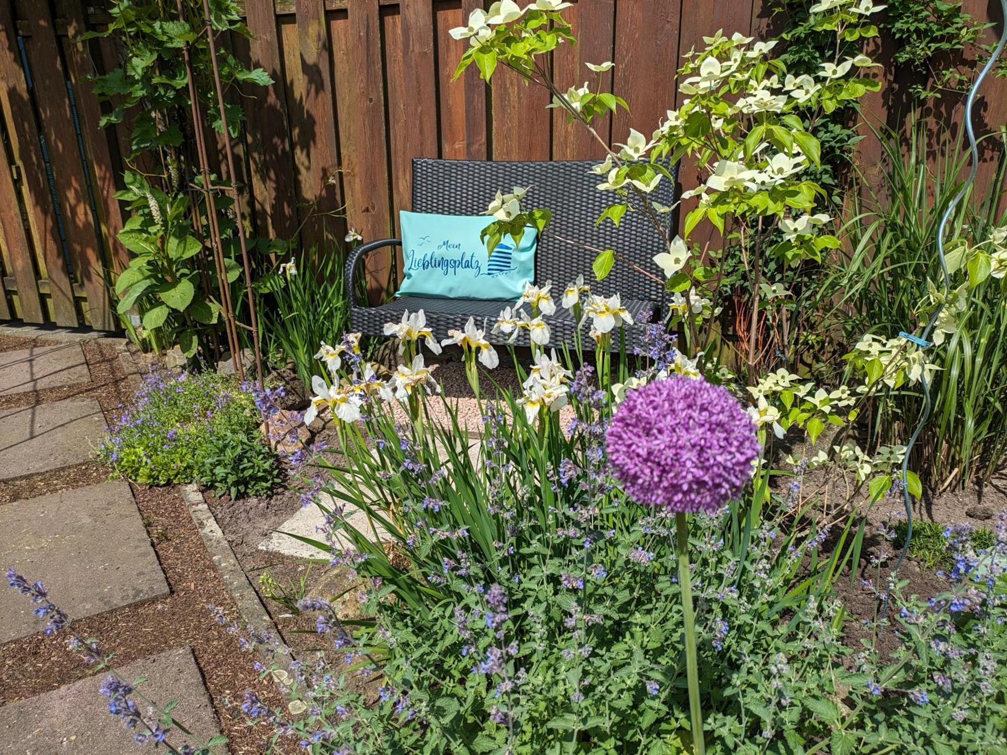 Ferienwohnung Zum Wenning Mit Garten In 斯塔德特罗恩 外观 照片